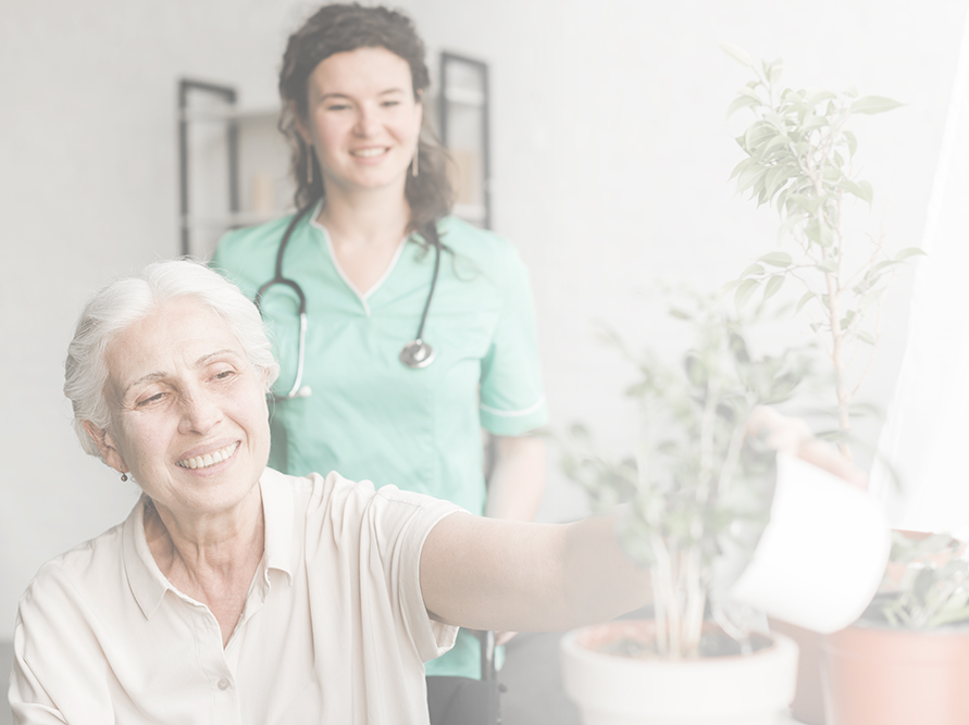 Arrosage des plantes